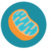 theralase Accelerate Healing