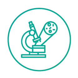 theralase case studies